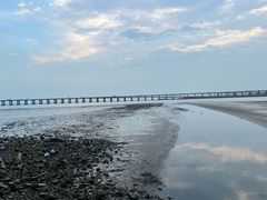 -宝安西湾红树林湿地公园