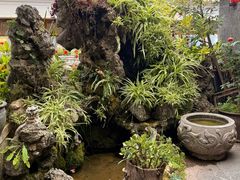 -海韵人家.海景花园经典云南菜(双廊店)