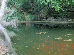 -北京上方山国家森林公园