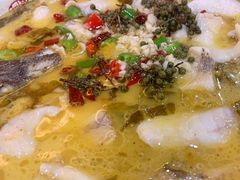 酸汤鱼片-津悦·正阳春烤鸭(红旗南路店)