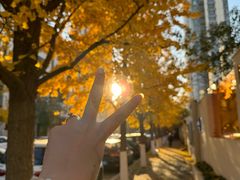 -长白岛森林公园