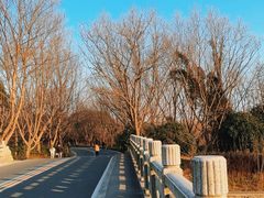 -同里国家湿地公园