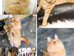 -狗舍宠物医院(四季商业广场店)