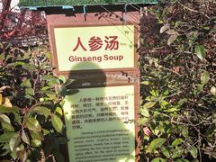 -太白山御龙湾温泉