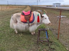 -青海湖国家重点风景名胜区