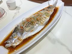 蒸翘嘴鱼-王捌小院(红花坡店)