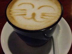 Anne猫窝咖啡屋-Anne猫窝咖啡屋