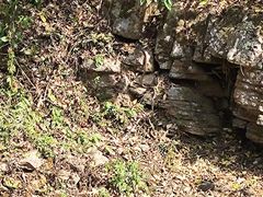 -野象谷景区