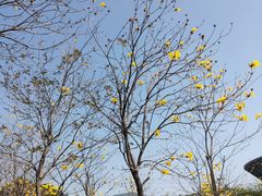 -中国移动南方基地