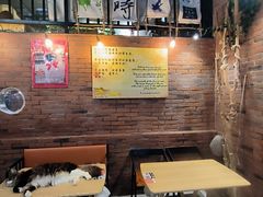 -豆逗聊愈猫阁Easy Life