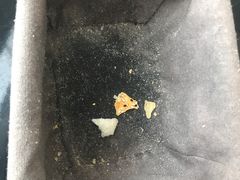 -上海柏悦酒店·世纪100牛排馆