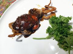 -小娘惹厨房Little Nyonya(狮城有约上榜店)