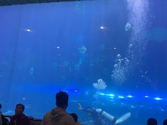 -华夏文旅西安度假区