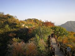 -大岭沟猕猴桃谷风景区