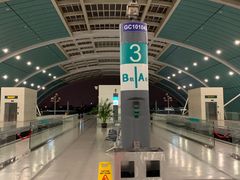 -龙阳路磁悬浮列车总站-停车场