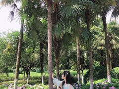 -大关公园