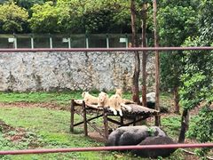 -泉州海丝野生动物世界