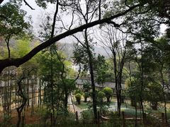 -岳麓山风景名胜区