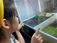 -酷以爬仙阁实体爬宠店·守宫·蜥蜴·专业繁育