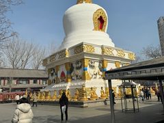 -护国法轮寺