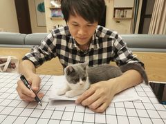 -lincat·猫舍(广州店)