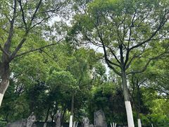 -武昌江滩