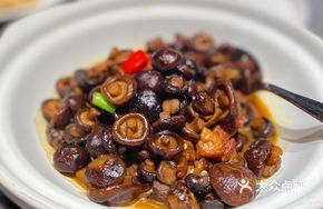 Xu's Small Mushrooms