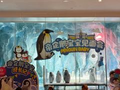 -帝企鹅自助餐厅•儿童岛•真企鹅(长隆企鹅酒店)