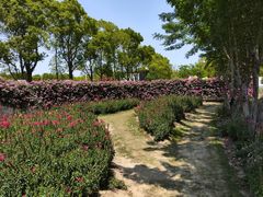 -嘉北郊野公园