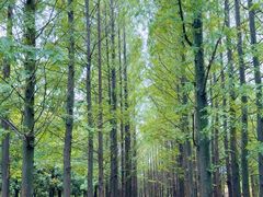 -阳澄湖半岛旅游度假区