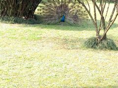 -天赐温泉