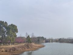 -南湖湿地公园