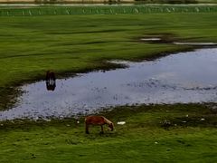 -蒙古之源蒙兀室韦文化旅游景区