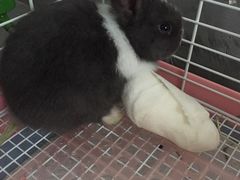 -雨林宠物医院 非犬猫异宠专科
