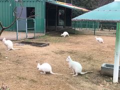 -无锡动物园·太湖欢乐园