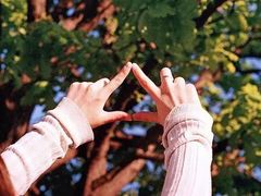 -长沙三景韦尔斯利酒店·Oval全日制餐厅自助餐