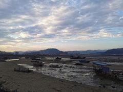 -北岐滩涂