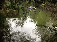 iphone_upload_pic-望江楼公园