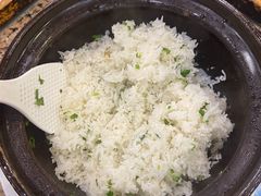瓦煲盐油饭-鸽鸟轩(石岐店)