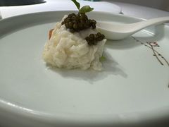鱼子酱鸡淖-松云泽