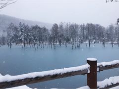 -青池