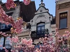 -布鲁塞尔大广场