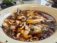 -佳兰雅序融合菜(高新店)