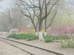 -永定河休闲森林公园