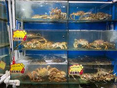 -蚝专家(北滘店)