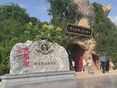 -大槐树寻根祭祖园