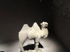 -大同市博物馆
