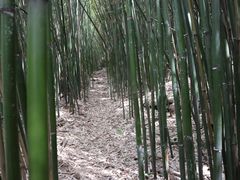 -井空里大峡谷