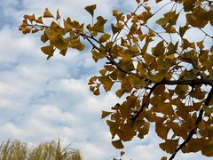 -西安汉城湖景区