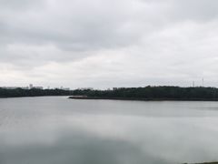 -盘龙城国家考古遗址公园